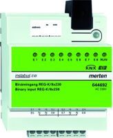 Schneider Electric BINÄREINGANG REG-K/8X230 (MTN644692)