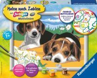 Ravensburger 28329 Malen nach Zahlen Jack Russel Welpen Malen nach Zahlen Serie D