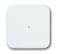 BUSCH JAEGER 6731-214 - Wall-mounted - RF Wireless - Wireless - 1 channels - 868 MHz - White