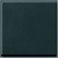 GIRA 029667 - Anthracite