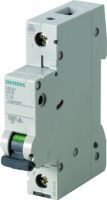 Siemens LS-SCHALTER 6KA 1POL C2 (5SL6102-7)