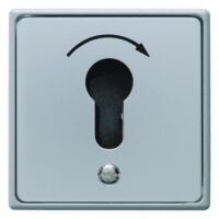 Berker 4450 - Key-operated switch - Grey - Metal - Plastic - IP44 - 250 V - 75 mm