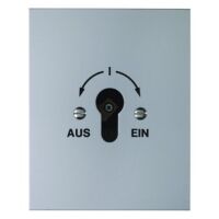 Berker 4416 - Key-operated switch - 2P - Aluminium - Aluminium - Plastic - IP44 - 250 V