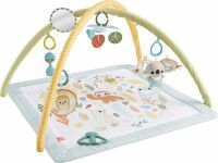 Mattel Fisher-Price Simply Senses sensorische Erlebnisdecke Spielmatte für Babys mit 6 sensorischen 