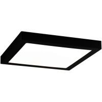 Paulmann WD LED-Panel 22W ECKIG (ABIA 300MM SCHW-MATT)