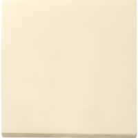 GIRA 029601 - Cream - IP44