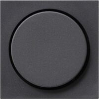 GIRA 0650 28 - Anthracite - GIRA - 1 pc(s)