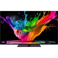 Panasonic FERNSEHER OLED 4K        121CM (TX-48MZ800E       SW)