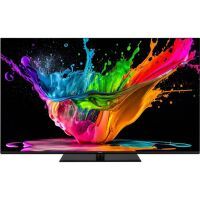 Panasonic FERNSEHER OLED 4K        164CM (TX-65MZ800E       SW)