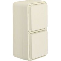 Berker 47703522 - Type F - -40 - 30 °C - White - Thermoplastic - IP55 - 250 V