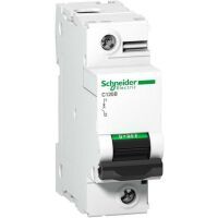 Schneider Electric C120B 1P 32A 25KA D (A9N18905)