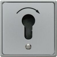 Berker 4450 - Key-operated switch - Grey - Metal - Plastic - IP44 - 250 V - 75 mm