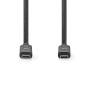 Nedis USB-Kabel| USB 3.2 Gen 2| USB-Typ-C Stecker|| 10 Gbps| - Cable - Digital