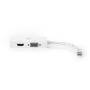 Nedis Displayport-Adapter| Mini DisplayPort| DVI-D 24+1-Pin Buchse HDMI VGA