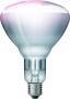 Philips 57522725 - 150 W - Bulb - 5000 h - White - Glass - 230 - 250 V