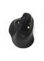 Port MOUSE ERGONOMIC RECHARGEABLE BLUETOOTH TRACK BALLED (900719)