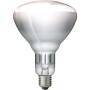 Philips 57522725 - 150 W - Bulb - 5000 h - White - Glass - 230 - 250 V