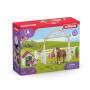 Schleich Horse Club Horse Club Hannah’s guest horses with Ruby the dog - Boy/Girl