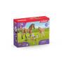 Schleich Horse Club Sarah’s baby animal car - Girl - 5 yr(s) - Multicolour