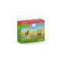 Schleich Farm World        42481 Pony Agility Training Schleich