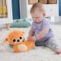 Mattel Fisher-Price 2-in-1 Wippender Otter zum esielen in der Bauchlage, Baby-Sensorik-esielzeug aus