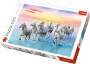 Trefl S.A. Puzzle 500 Teile Gallopierende Pferde